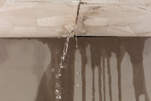Professional Flood Damage Cleanup technician working in Millstadt, IL